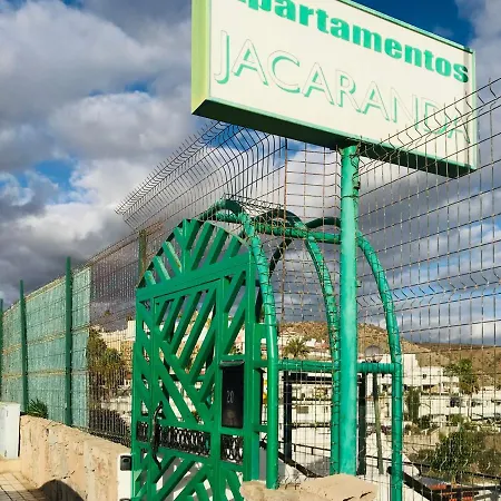 Jacaranda Пуэрто Рико